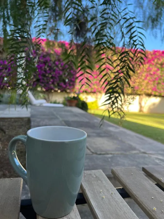 Apartment Ferienwohnung Dream Garden Santa Cruz de Tenerife