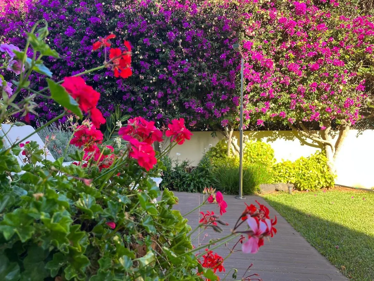 Apartment Ferienwohnung Dream Garden Santa Cruz de Tenerife